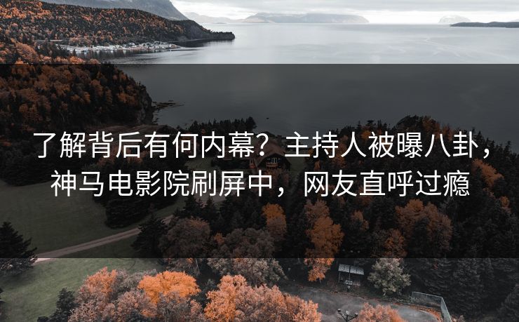 了解背后有何内幕？主持人被曝八卦，神马电影院刷屏中，网友直呼过瘾
