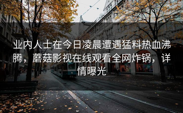业内人士在今日凌晨遭遇猛料热血沸腾，蘑菇影视在线观看全网炸锅，详情曝光